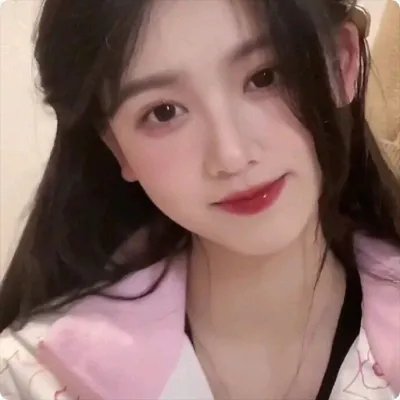 从前有个傻子特工
